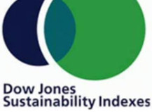 Unlocking the mysteries of the Dow Jones Sustainability Index