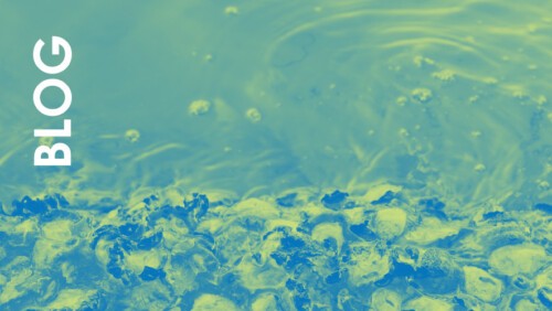 Food for thought: The importance of public CDP reporting